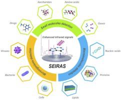 Surface-enhanced infrared absorption spectroscopy (SEIRAS) for biochemical analysis: Progress and perspective