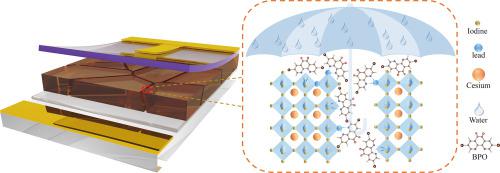 Synergistic resonant molecular passivator of various defects for high-performance perovskite solar cells