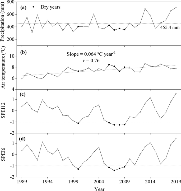 More tree growth reduction due to consecutive drought and its legacy effect for a semiarid larch plantation in Northwest China