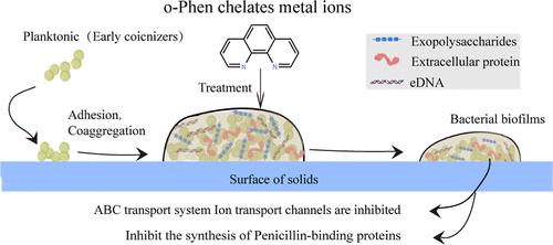Analyses of the Antibiofilm Activity of o-Phenanthroline Monohydrate against Enterococcus faecalis and Staphylococcus aureus and the Mechanisms Underlying These Effects