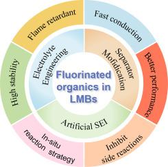 Fluorinated Organic Compounds As Promising Materials to Protect Lithium Metal Anode: A Review