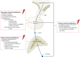 Iatrogenic adrenal insufficiency in adults