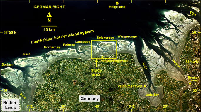 Distribution of individual mud fractions in a tidal basin of the East Frisian Wadden Sea (southern North Sea): affinities between sortable silts, aggregated particle suites, and calcium carbonate and organic matter contents