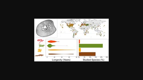 A review of age estimation methods in non-avian reptiles by growth marks in hard tissues.