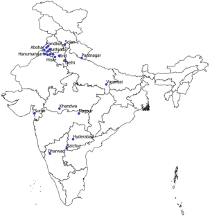 Thrips composition in North Indian cotton agroecosystem: a single species or a species complex?