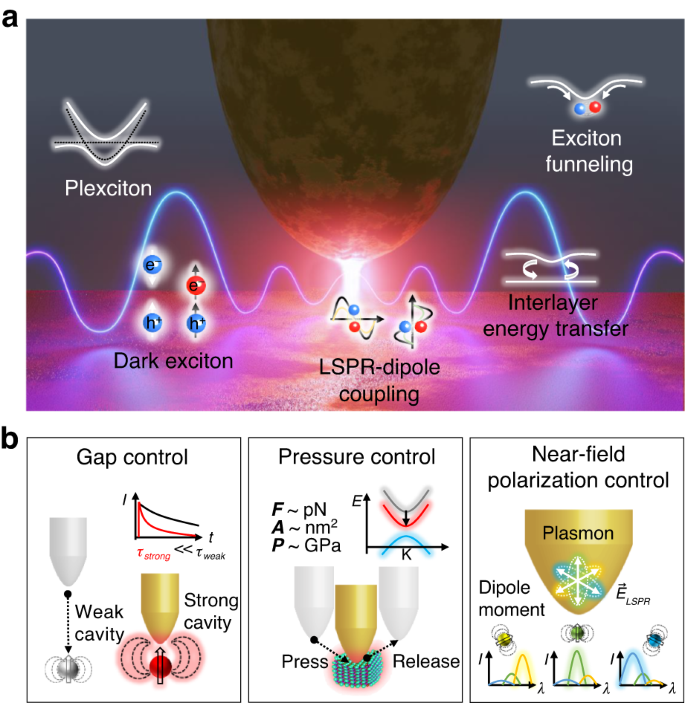Dynamical control of nanoscale light-matter interactions in low-dimensional quantum materials