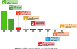 Unraveling Sustainability in Brazilian Ethnobotany: An Analysis of the Sustainable Development Goals (SDGs)