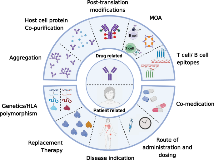 Reducing Immunogenicity by Design: Approaches to Minimize Immunogenicity of Monoclonal Antibodies.