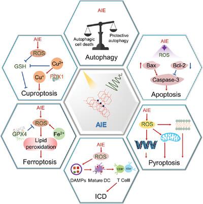 Activated aggregation-induced emission therapeutics agents for triggering regulated cell death