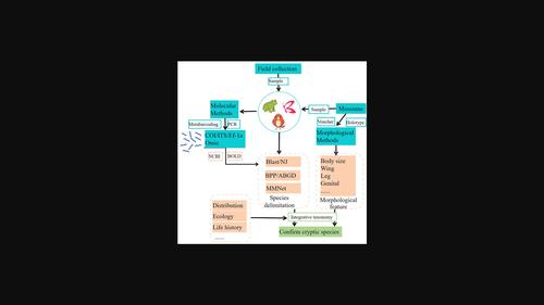 Cryptic diversity begets challenges and opportunities in biodiversity research.