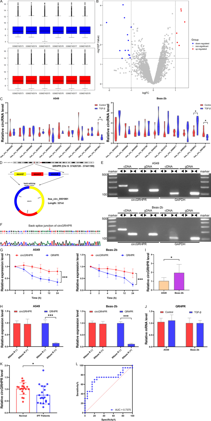 circGRHPR inhibits aberrant epithelial-mesenchymal transformation progression of lung epithelial cells associated with idiopathic pulmonary fibrosis.