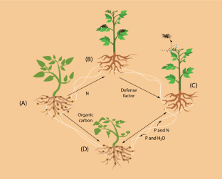 Science fosters ongoing reassessments of plant capabilities