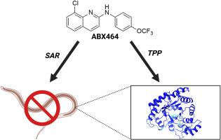 Structure-activity relationship and target investigation of 2-aryl quinolines with nematocidal activity