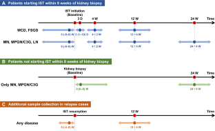 Rationale and design of the Japanese Biomarkers in Nephrotic Syndrome (J-MARINE) study.