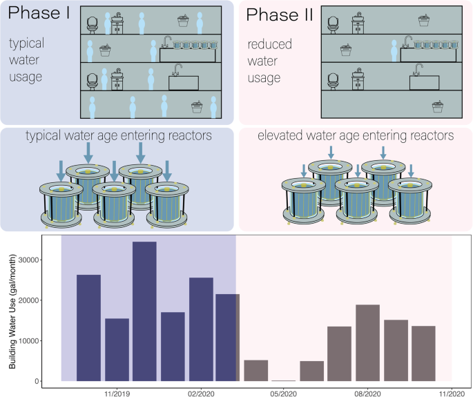 Responses of drinking water bulk and biofilm microbiota to elevated water age in bench-scale simulated distribution systems.