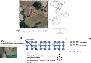 Edaphic fauna and residue decomposition rate under different management of plant species in no-tillage system