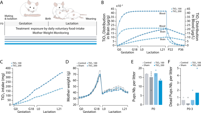 Multigenerational inheritance of breathing deficits following perinatal exposure to titanium dioxide nanoparticles in the offspring of mice.