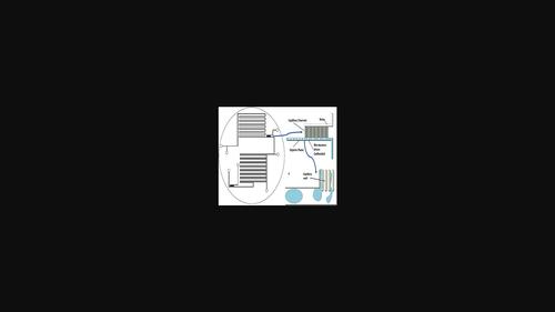 Microfluidic Approaches in Water Quality Monitoring: An Insight and a Comprehensive Review