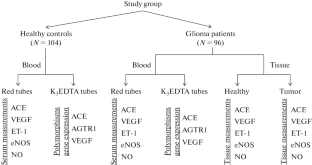 Angiotensin II Type I Receptor—168A/G Polymorphism Is Associated with Increased the Risk of Glioma in Turkish Population