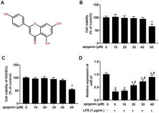 Apigenin accelerates wound healing in diabetic mice by promoting macrophage M2-type polarization via increasing miR-21 expression.