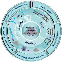 Transition metal oxides and transition metal sulfides as cathodes for magnesium-ion batteries: current status and modification strategies