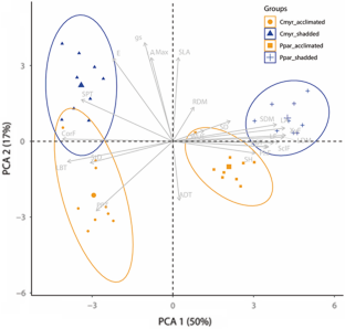 Irradiance triggers different morphophysiological responses in two neotropical tree seedlings with contrasting light demands