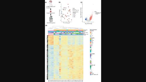 Transcriptional features of low-grade neuroepithelial tumors with the BRAF V600E mutation associated with epileptogenicity