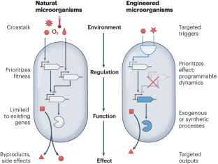 Synthetic microbiology in sustainability applications