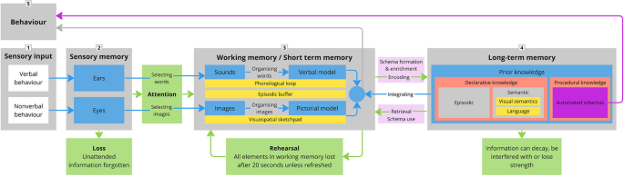 A Cognitive Load Theory Approach to Understanding Expert Scaffolding of Visual Problem-Solving Tasks: A Scoping Review