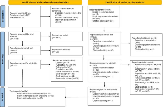 What Mental Health and Wellbeing Interventions Work for Which Children and Young People in Care? Systematic Review of Potential Outcome Inequities