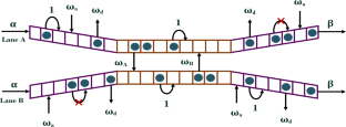 Biased Dynamics of Langmuir Kinetics and Coupling on Exclusion Process