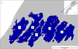 Genetic diversity and population structure in Quercus suber L. revealed by nuclear microsatellite markers and generation of a core collection