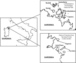 Diversity profiles of moths in relation to island characteristics in two archipelagos of the Mediterranean Sea