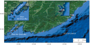 First Investigations of Benthic Soft-Walled Foraminifera and Gromiids (Protozoa) in the northwestern Sea of Japan