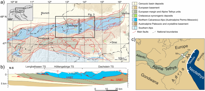 Salt-rich versus salt-poor structural scenarios in the central Northern Calcareous Alps: implications for the Hallstatt facies and early Alpine tectonic evolution (Eastern Alps, Austria)