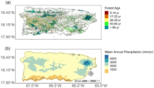 Chronic Winds Reduce Tropical Forest Structural Complexity Regardless of Climate, Topography, or Forest Age