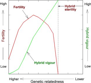 Speciation, natural selection, and networks: three historians versus theoretical population geneticists.