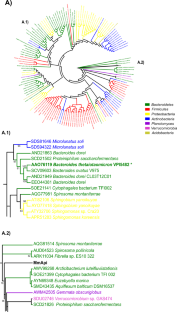 Discovery, structural characterization, and functional insights into a novel apiosidase from the GH140 family, isolated from a lignocellulolytic-enriched mangrove microbial community.