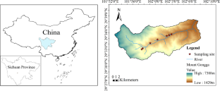 Marginal water use efficiencies of different plant functional types along an elevation gradient in subalpine regions