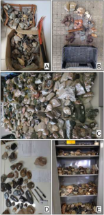 Geodiversity Elements of Geological Collections as Ex Situ Teaching Tool: The Example of the Geography Department at the Federal University of Pelotas, Rio Grande do Sul, Brazil