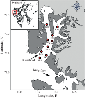 Meiofaunal Assemblage Pattern in Krossfjord, Svalbard Archipelago