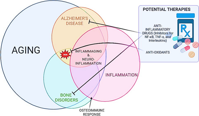 Mind the Gap: Unraveling the Intricate Dance Between Alzheimer's Disease and Related Dementias and Bone Health.