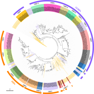 Odorant-Binding and Chemosensory Proteins in Fig Wasps: Evolutionary Insights From Comparative Studies.