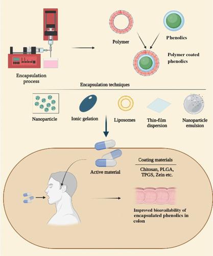 Encapsulated phenolic compounds: clinical efficacy of a novel delivery method