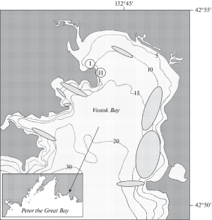 Spatial Distribution, Size and Age Composition of Population of Mya japonica Jay, 1857 (Bivalvia: Myidae) in Peter the Great Bay, Sea of Japan