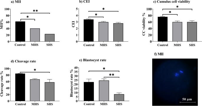 Heat shock interferes with the amino acid metabolism of bovine cumulus-oocyte complexes in vitro: a multistep analysis.