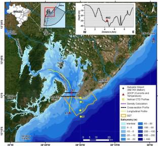 Coastal Upwelling and Estuarine Gravitational Circulation: A Feedback System in a Tropical Estuary in the South Atlantic