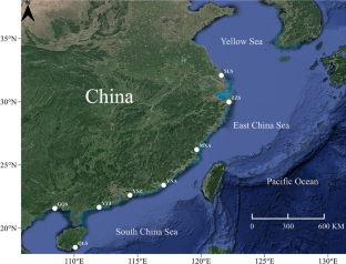 Genetic diversity and population structure of the near threatened fish Harpadon nehereus in the Northwest Pacific: implications for conservation