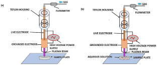 Comparative Analysis of Direct Cold Atmospheric Plasma Treatment vs. Plasma Activated Water for the Deactivation of Omicron Variant of SARS-CoV-2