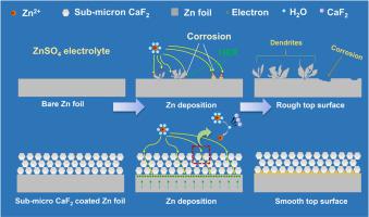 Multifunctional Optimization Enabled by the Space Design of a Non-Toxic Fluoride Protective Layer for Dendrites-Free and Corrosion-Resistance Zinc Anodes